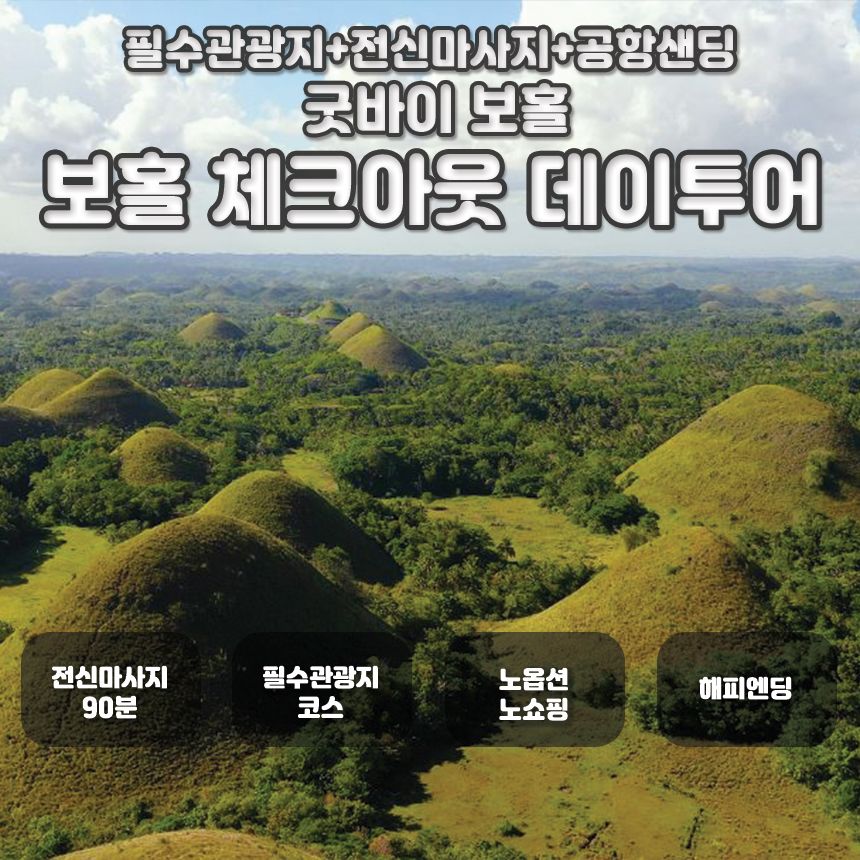 [보홀] 체크아웃 육상 데이투어 (로복강, 초코릿힐, 안경원숭이, 마사지, 공항샌딩) - 트리플 투어티켓