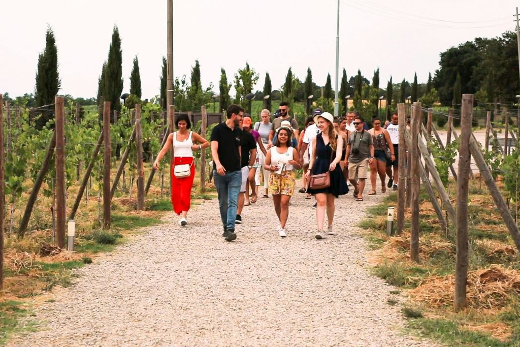 점심 식사 + 와인 시음