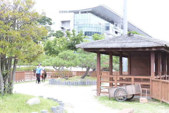 렛츠 런 파크