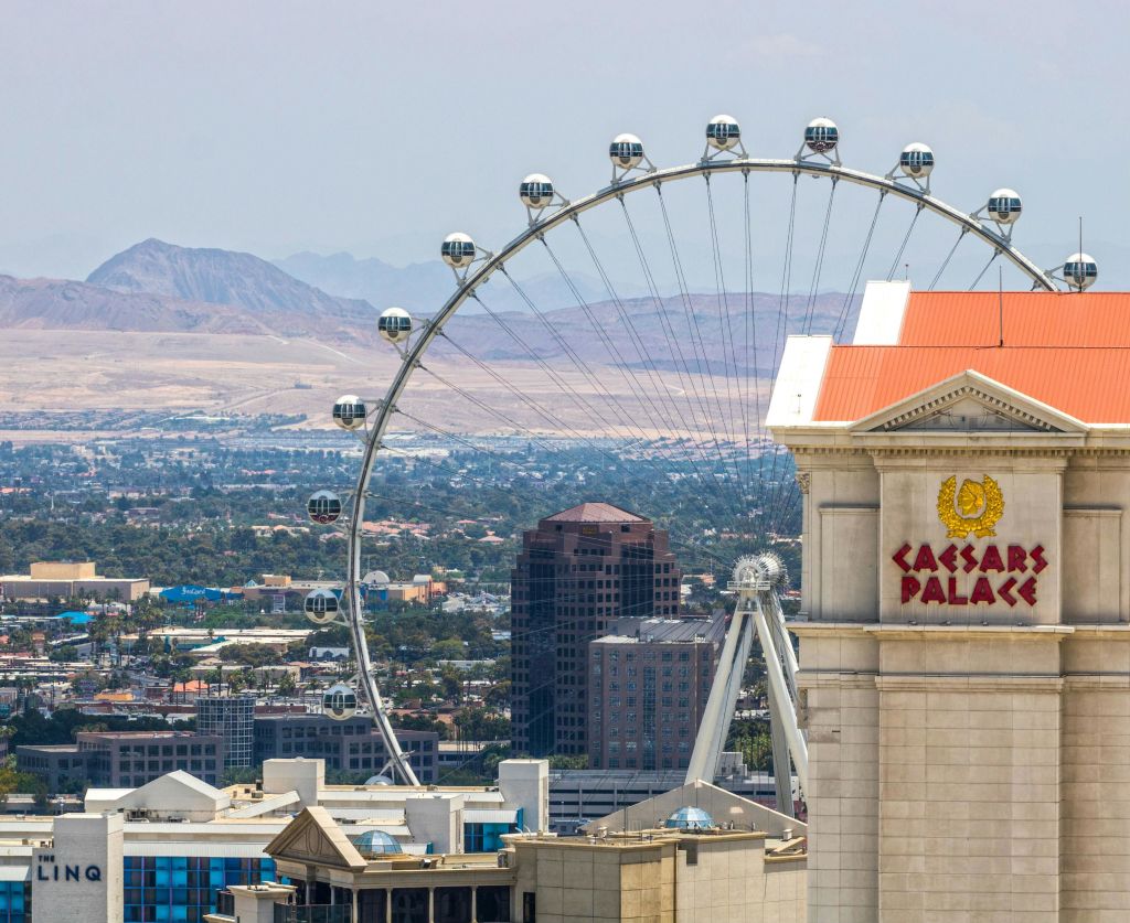 산을 배경으로 펼쳐지는 린큐 하이 롤러의 풍경