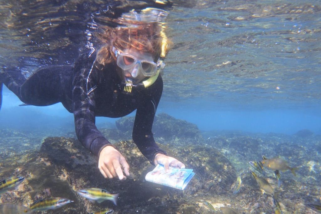 작은 물고기로 둘러싸인 바위 근처에서 잠수복과 스노클링 장비를 입은 사람이 수중 메모를 하고 있습니다.