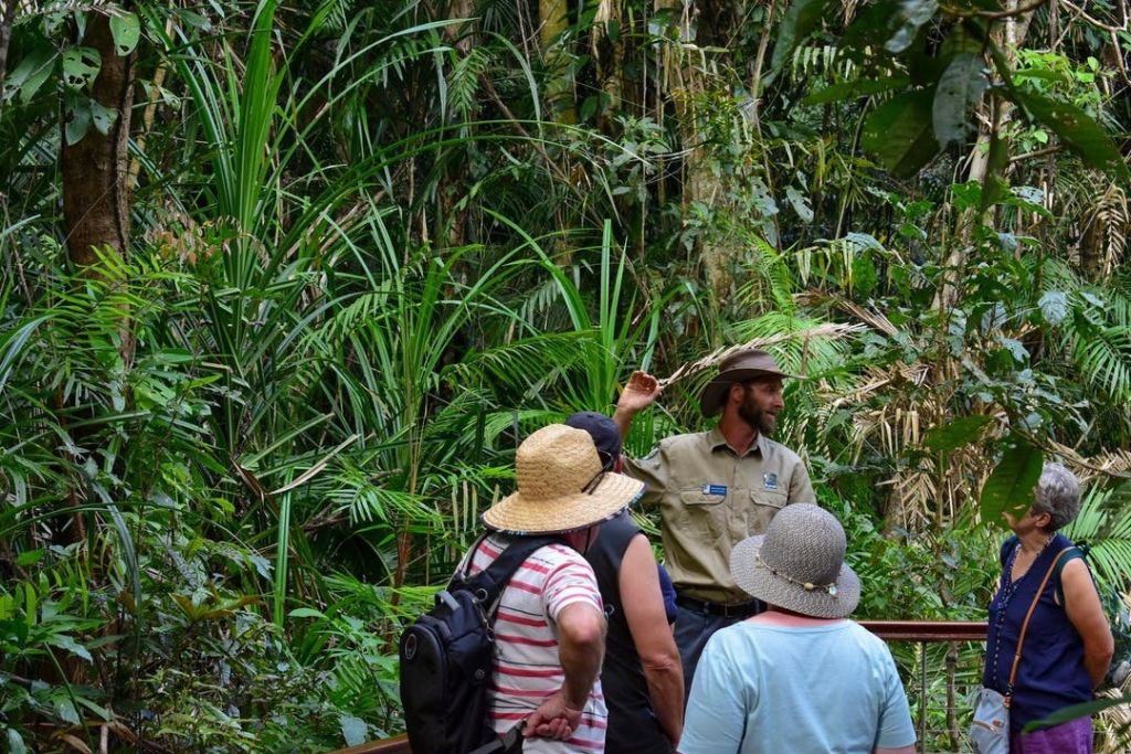스카이레일 레인포레스트 케이블웨이 인바운드 반환
