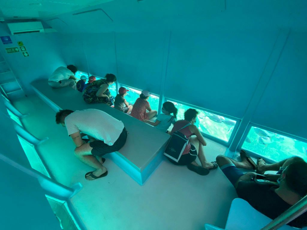 사람들은 푸른 관측 구역에 앉아 수중 장면, 물고기 또는 수중 생물을 창문으로 들여다 봅니다.