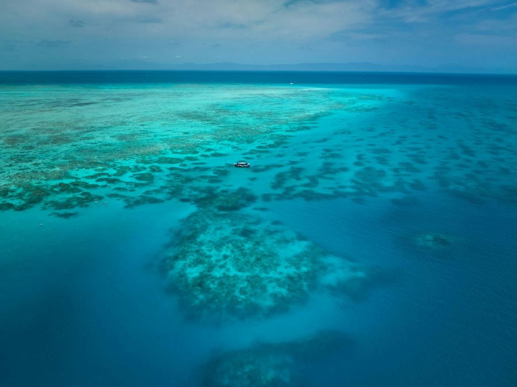 수평선으로 뻗은 산호초가 보이는 활기찬 청록색 바다 위에 떠 있는 보트의 공중 전망.