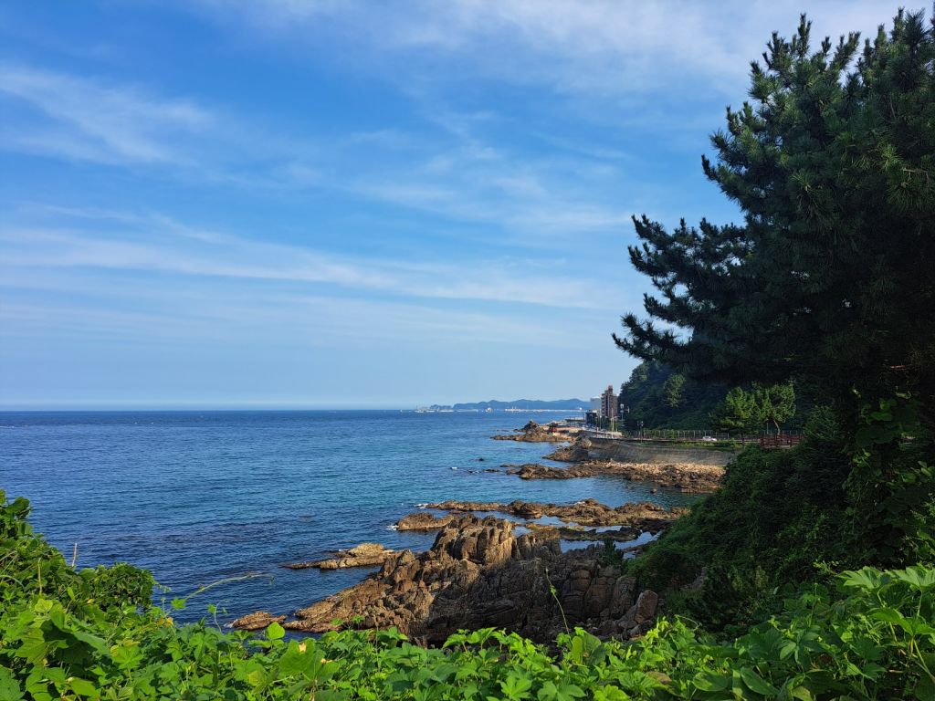 새천년 해안 도로
