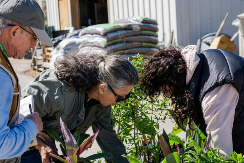 화분을 배치하는 개인.