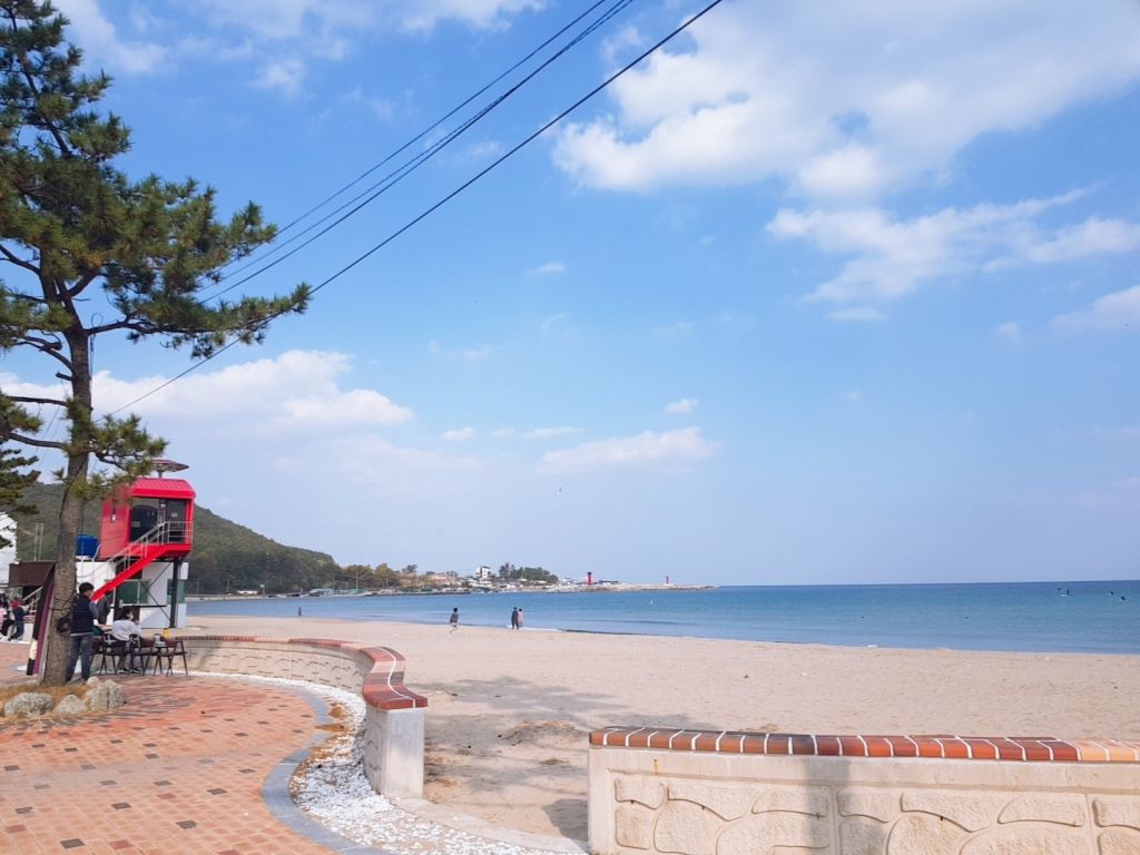 월포 해수욕장
