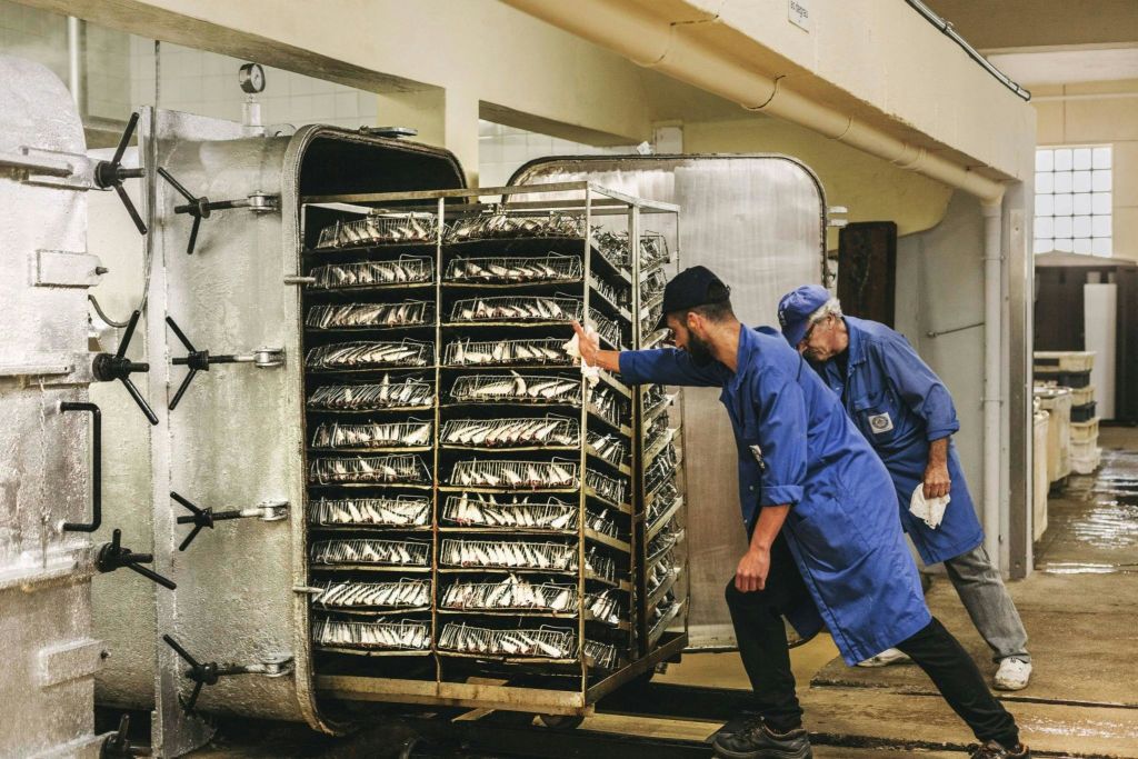 생선 요리하기.