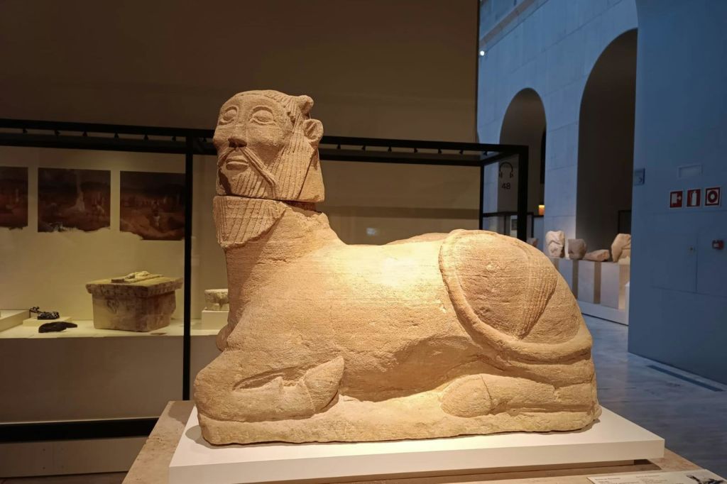 발라조테의 비차