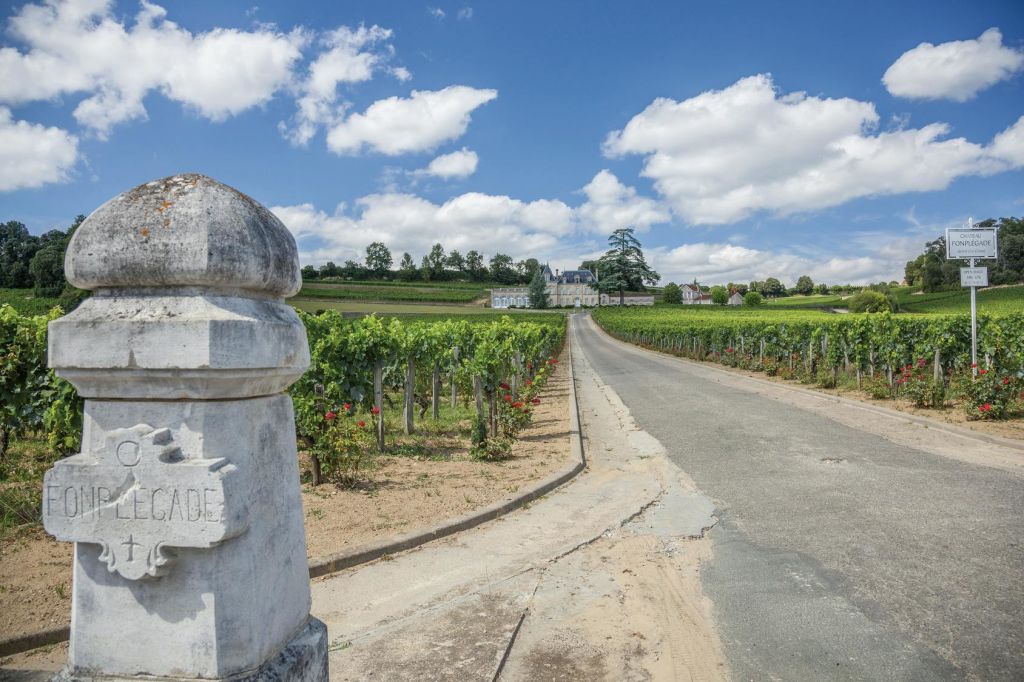 멀리 샤토로 이어지는 포장 도로 옆에 포도원이 펼쳐져 있습니다. 푸른 하늘 아래 구름이 흩어져 있습니다.