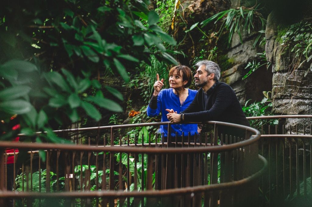 열대 산악 온실