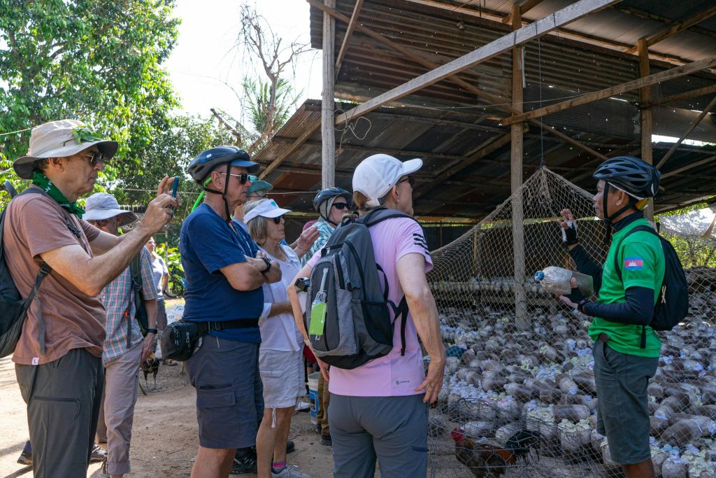 자신의 뒷마당에서 버섯을 재배, 수확 및 건조한 가족을 방문하여 그들의 라이프스타일에 대해 알아보세요.