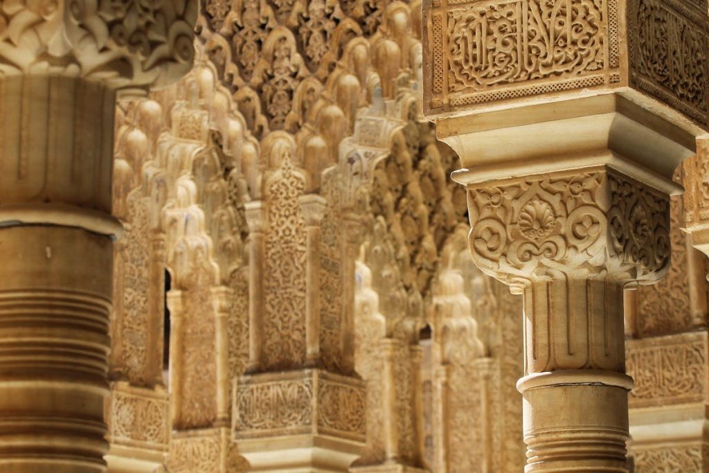 자본 세부 정보