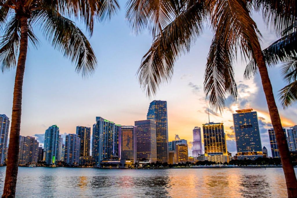 마이애미 최고의 소그룹 투어