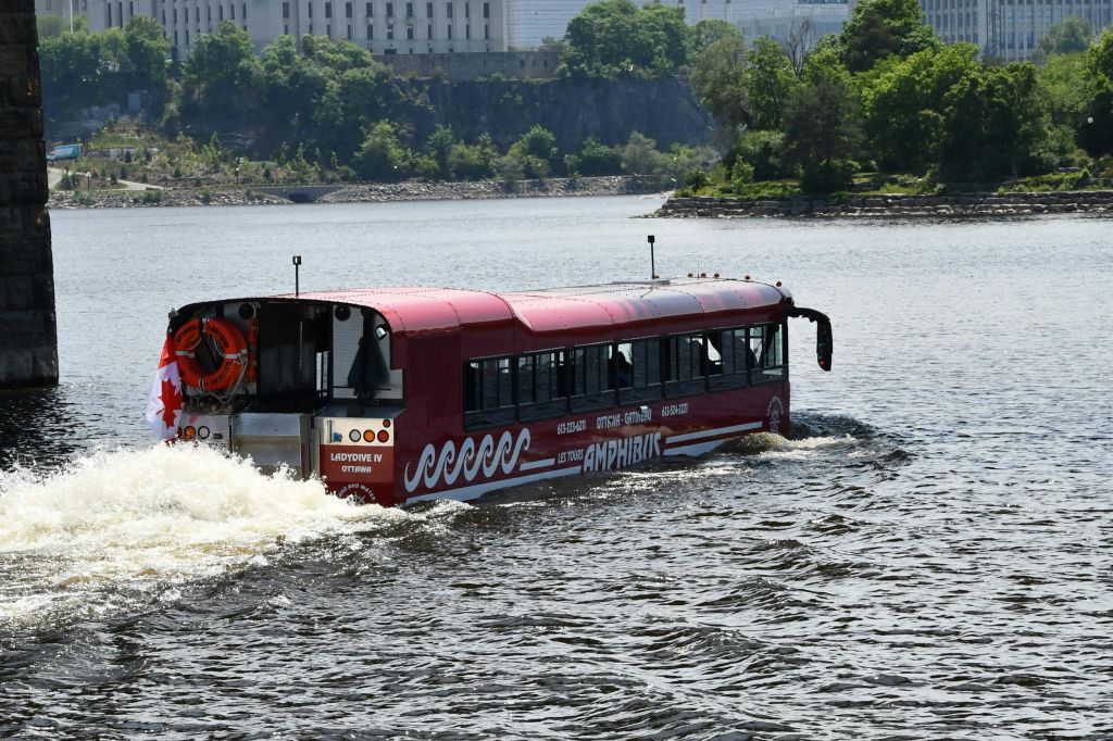 오타와 강의 양서류.