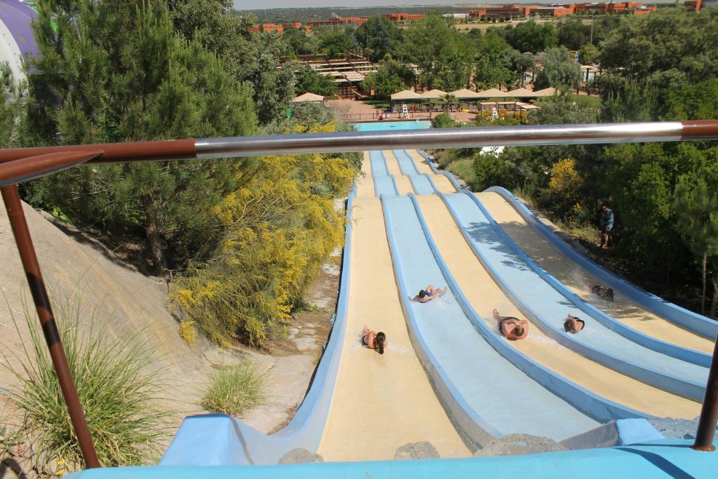 화창한 날 나무와 녹음으로 둘러싸인 다차선 워터 슬라이드를 따라 미끄러져 내려가는 사람들로, 배경에는 공원이 보입니다.