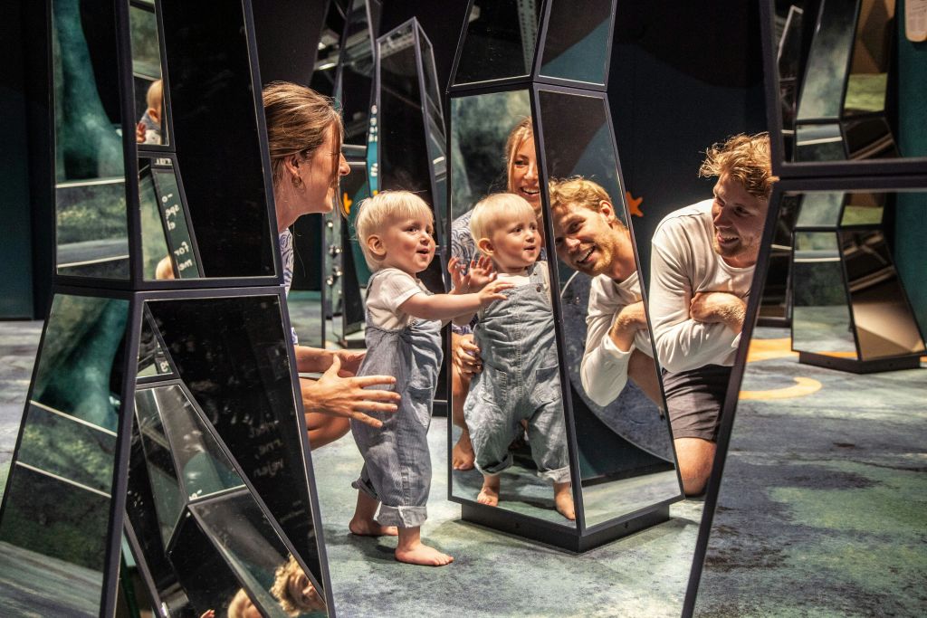 유아와 성인은 미니버스를 좋아할 것입니다.