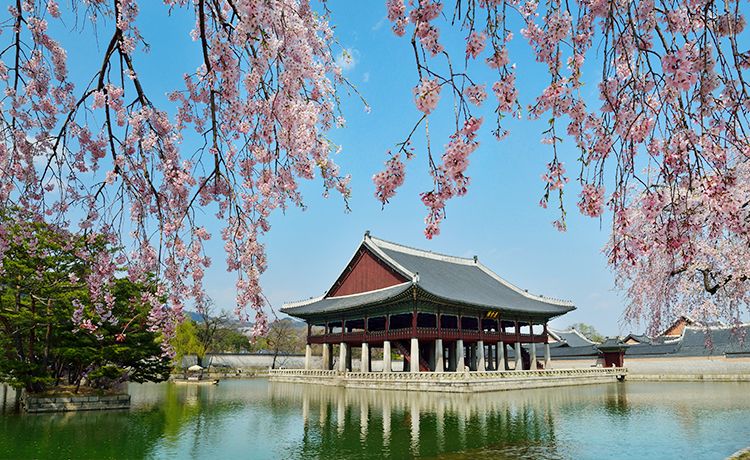 Gyeongbokgung Palace Thumbnail 3