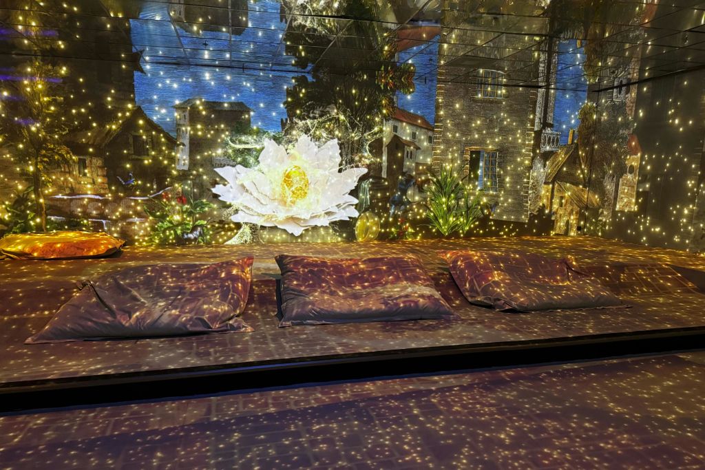 반짝이는 꽃과 건물, 반짝이는 조명을 배경으로 바닥에 쿠션 3개가 놓여 있습니다.