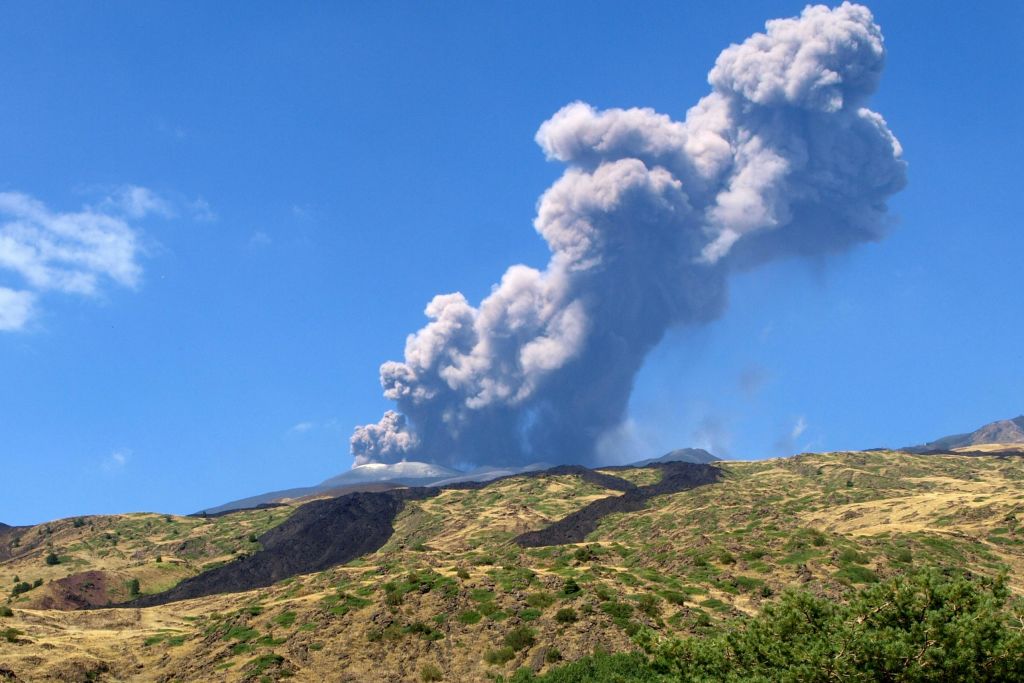 소란스러운 액티비티