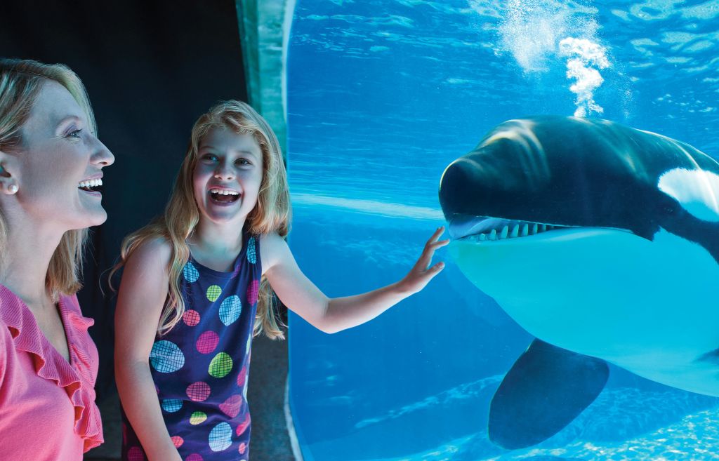 한 여성과 어린 소녀가 미소를 지으며 커다란 수족관 창문을 바라보고 있는데, 소녀가 물속에서 무언가를 가리키고 있습니다.