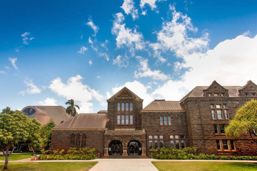 오아후 고시티: 익스플로러 패스