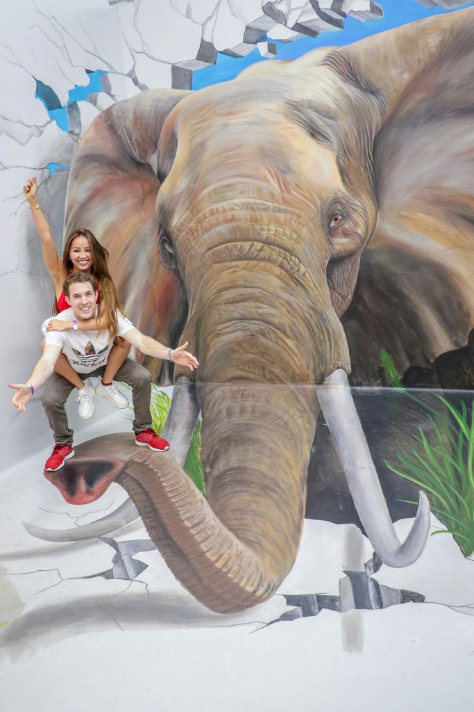 벽을 뚫고 들어오는 코끼리의 커다란 벽화 앞에서 한 남성이 여성을 등에 업고 있습니다.