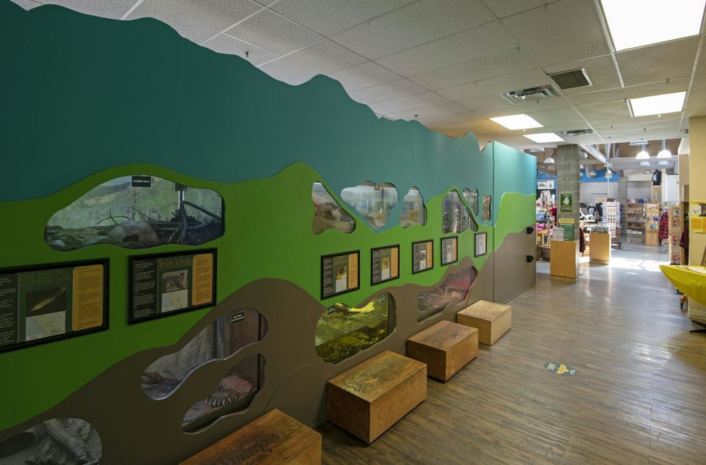 다양한 서식지를 보여주는 벽걸이형 전시 케이스가 있는 실내 전시물. 앞에 벤치가 있어 앉을 수 있습니다. 천장 조명이 주변을 비춥니다.