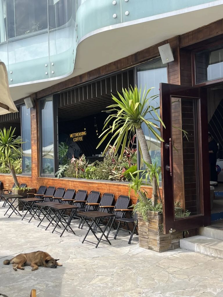 비엣트레킹 커피