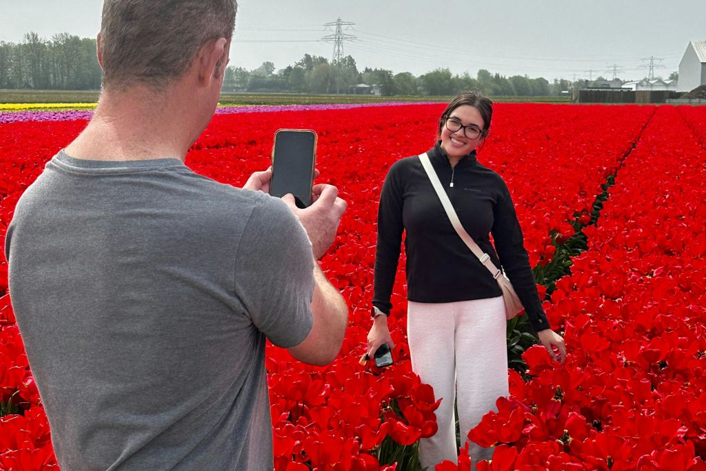 튤립 농장에서 아름다운 사진 찍기