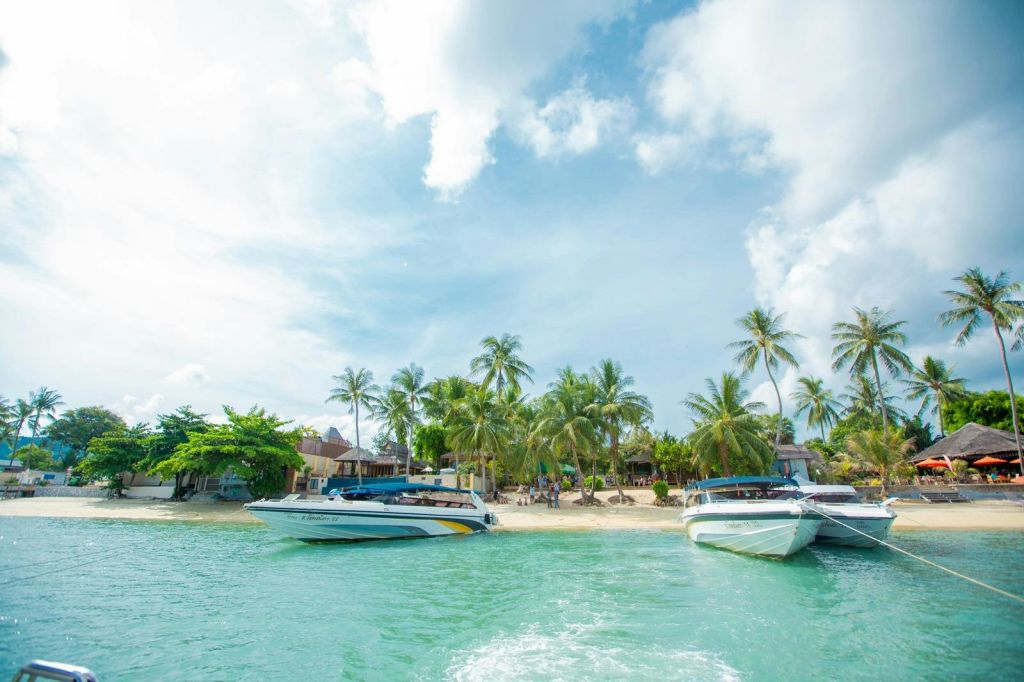 섬에서 신선한 제철 과일과 함께 맛있는 태국 뷔페 점심을 즐기세요.