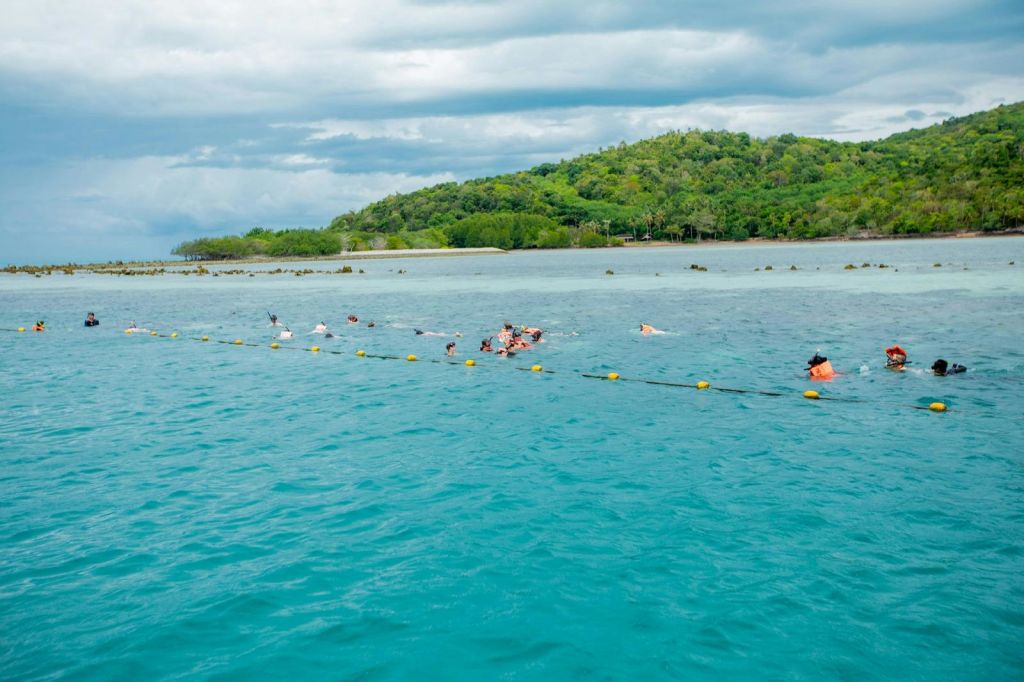 탄 & 피그 제도: 가이드와 함께하는 코사무이 스피드보트 투어 + 핑크 돌고래 관찰