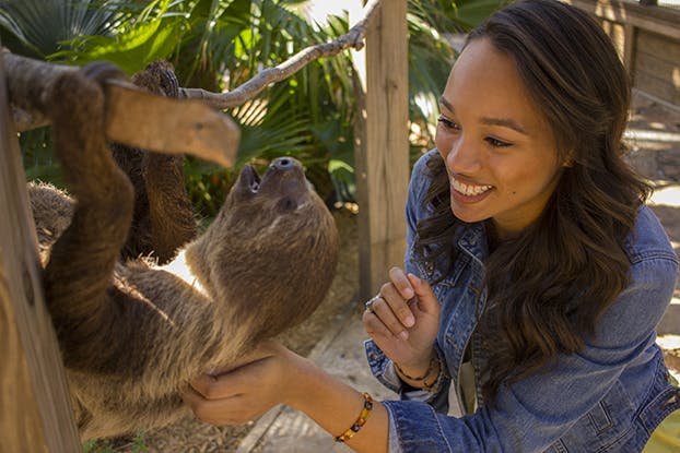 데님 재킷을 입은 웃는 여성이 나무 들보와 녹음이 있는 야외 인클로저에서 나무늘보와 상호 작용합니다.