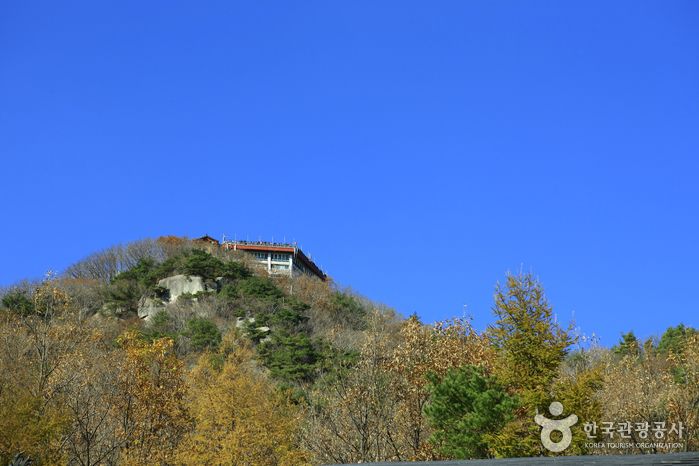 팔공산 도립 공원