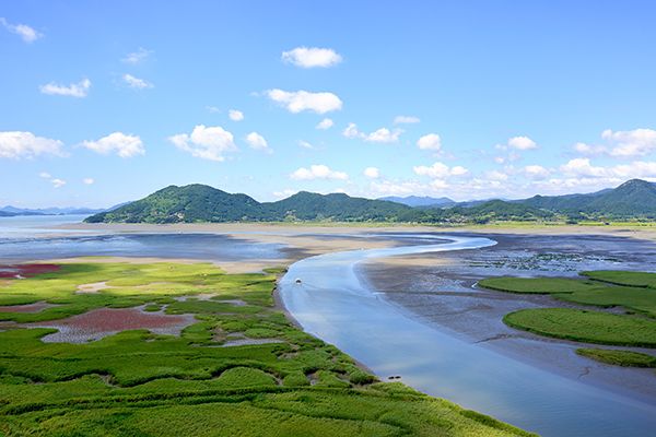 [Departing from Seoul] Suncheon Highlights 1-Night 2-Day Tour | Suncheon Bay National Garden · Suncheon Bay Wetland · Waon Beach Sunset · Seonamsa Temple