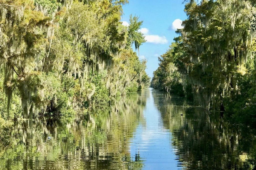 구름이 깔린 푸른 하늘 아래 양쪽에 스페인 이끼로 덮인 빽빽한 나무가 잔잔한 물을 반사하는 고요한 운하 풍경.