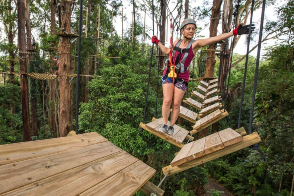 선샤인 코스트에서 즐기는 트리탑 어드벤처 챌린지