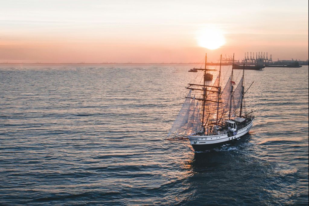 로열 앨버트로스