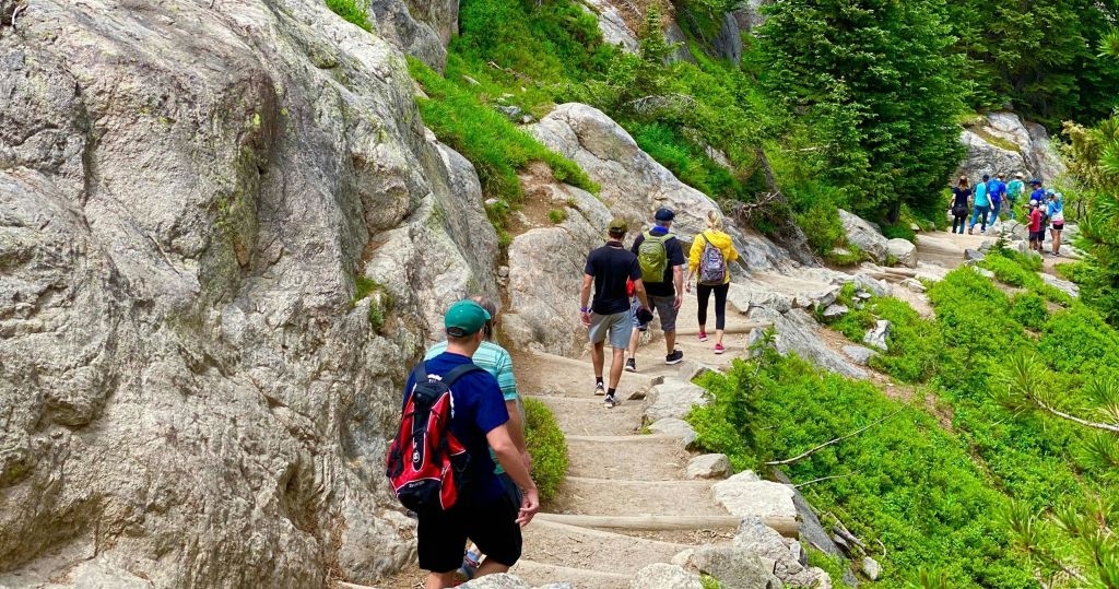 녹음과 커다란 바위로 둘러싸인 숲이 우거진 등산로를 걷고 있는 한 무리의 사람들.