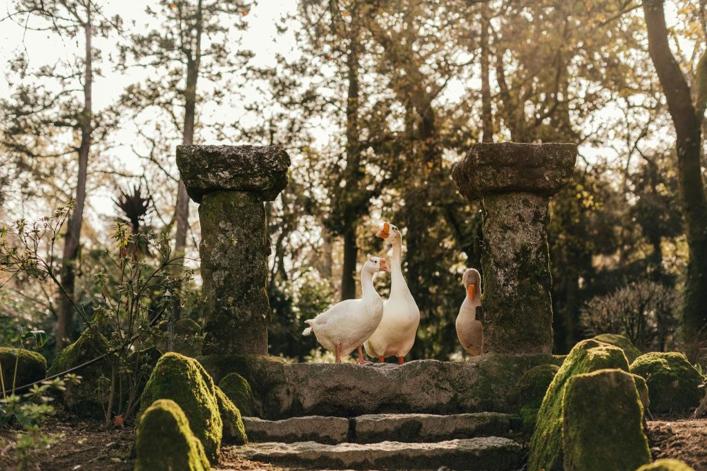 퀸타아벨레다 정원