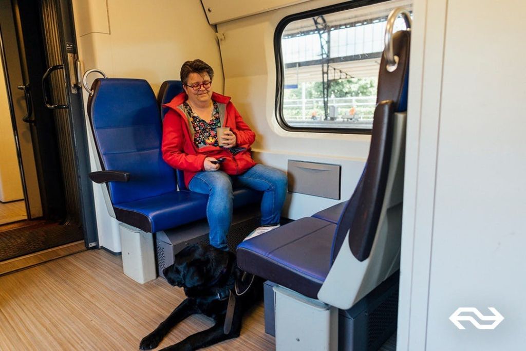 Trein van de Nederlandse Spoorwegen