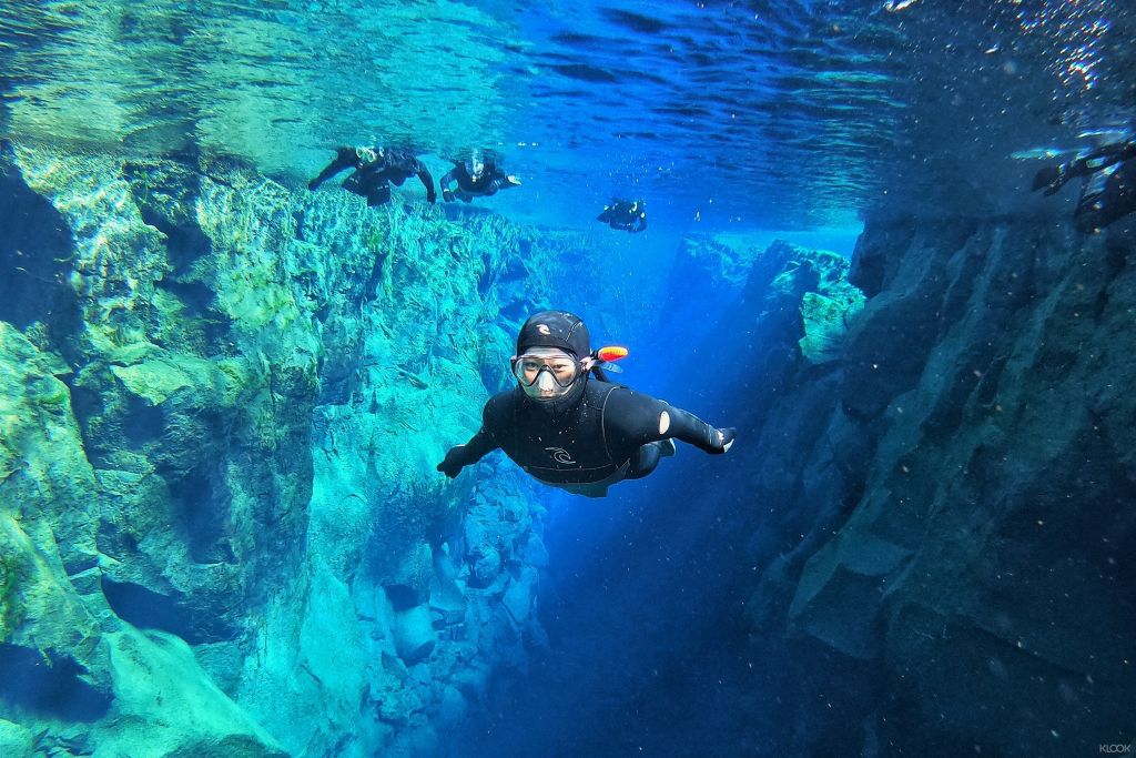 비교할 수 없는 가시성과 생생한 색상으로 유명한 숨막히는 수중 풍경을 탐험해 보세요.