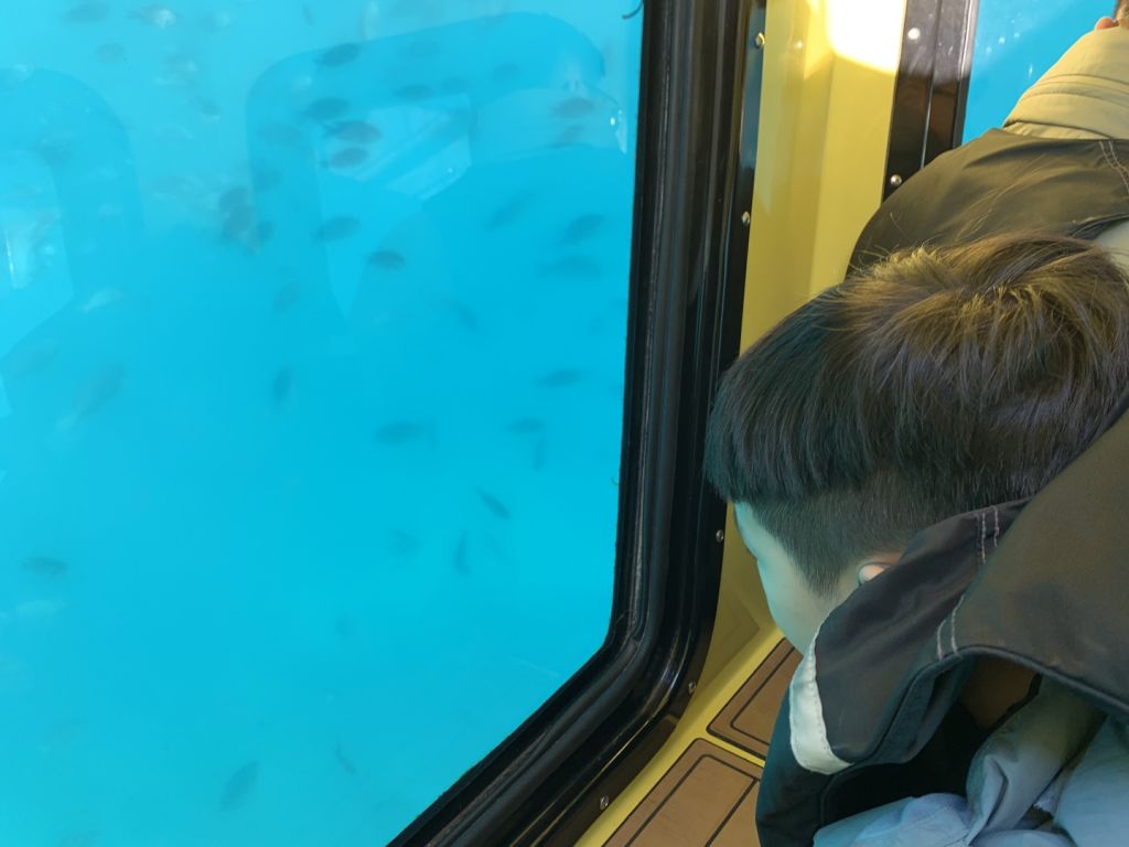 국제 리더스 클럽