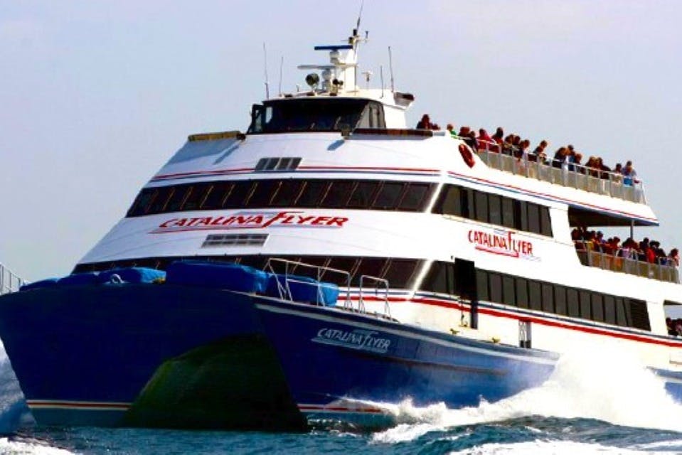 집라인 타고 즐기는 카탈리나섬 에코 투어