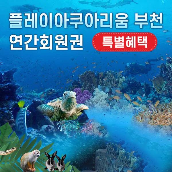 부천 아쿠아리움+동물원+파충류관+생태 도슨트 (연간회원권)