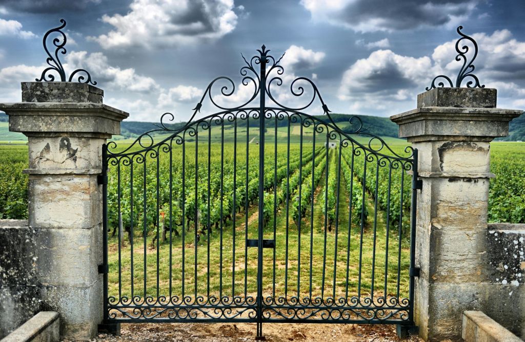 흐린 하늘 아래 포도원으로 통하는 화려한 철문. 포도나무 줄이 멀리까지 뻗어 있습니다.