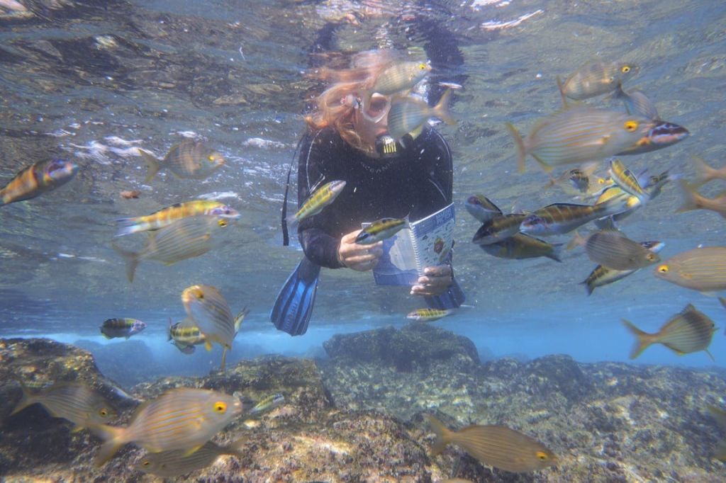 다채로운 물고기로 둘러싸인 수중에서 책을 읽고 잠수복을 입고 바위 해저 근처에서 스노클링을 즐기는 사람.