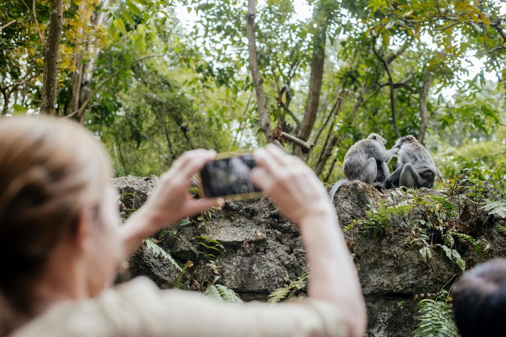 우붓 원숭이 숲