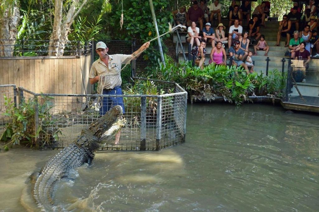 하틀리의 악어 어드벤처