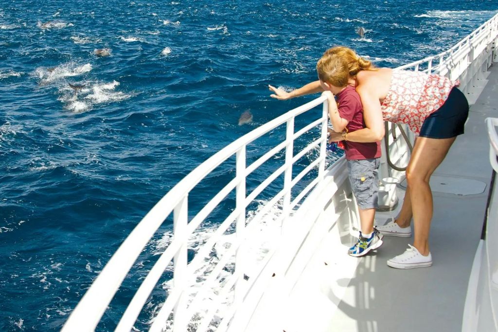 롱비치 고래 관찰 & 돌고래 관찰